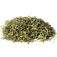 Catnip Cut 1oz  (nepeta Cataria)