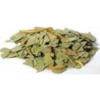 Eucalyptus Cut 1oz  (eucalyptus Globulus)