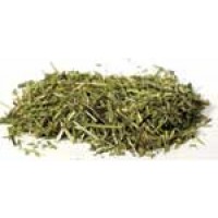 Scullcap Cut 1oz (scutellaria Lateriflora)