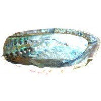 5" Midea Shell Incense Burner