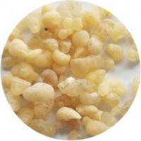 Frankincense Sifted Incense 1.5 Oz