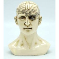 6" Phrenology Head