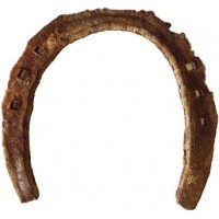 Used Horseshoe