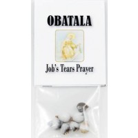 Job's Tears (seeds)