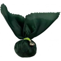Money Drawing (attraction Argent) Mojo Bag