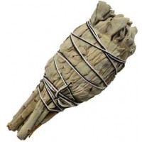 California White Sage Smudge Stick 4"