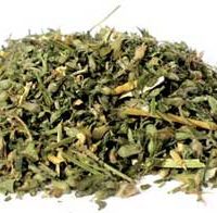 Catnip Cut 2oz  (nepeta Cataria)