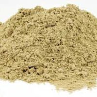 1 Lb Eleutherococcus Powder "siberian Ginseng" (eleutherocccus Senticosus)