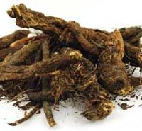 1 Lb Goldenseal Root Cut (hydrastis Canadensis)