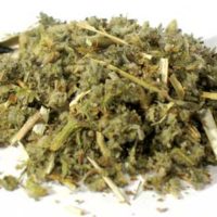 1 Lb Horehound Cut (marrubium Vulgare)