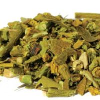 Mistletoe Cut 2oz (phoradendron Flavescens)
