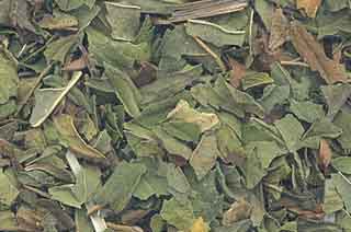 1 Lb Peppermint Leaf Cut (mentha Piperita)